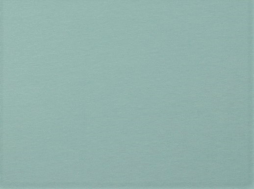 Organic Cotton Baumwolljersey uni dusty aqua (017)
