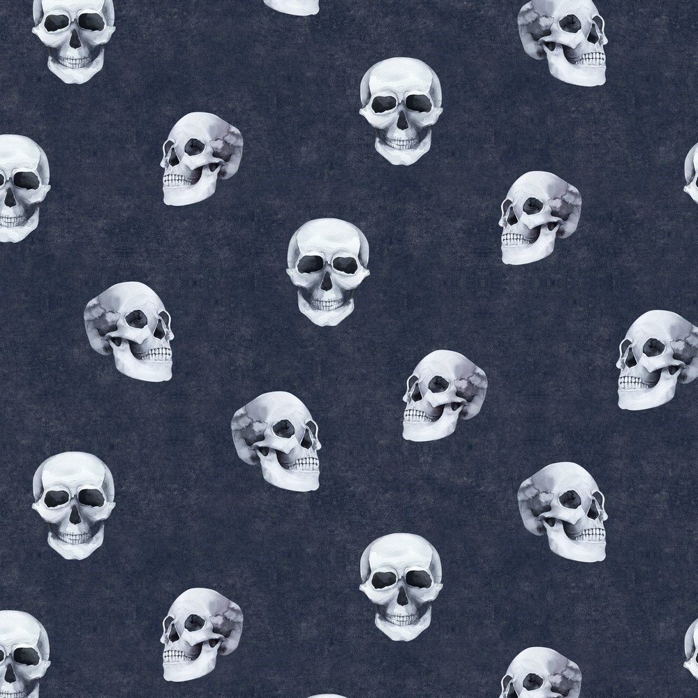 Digitaljersey Organic Cotton "Skulls" - navy