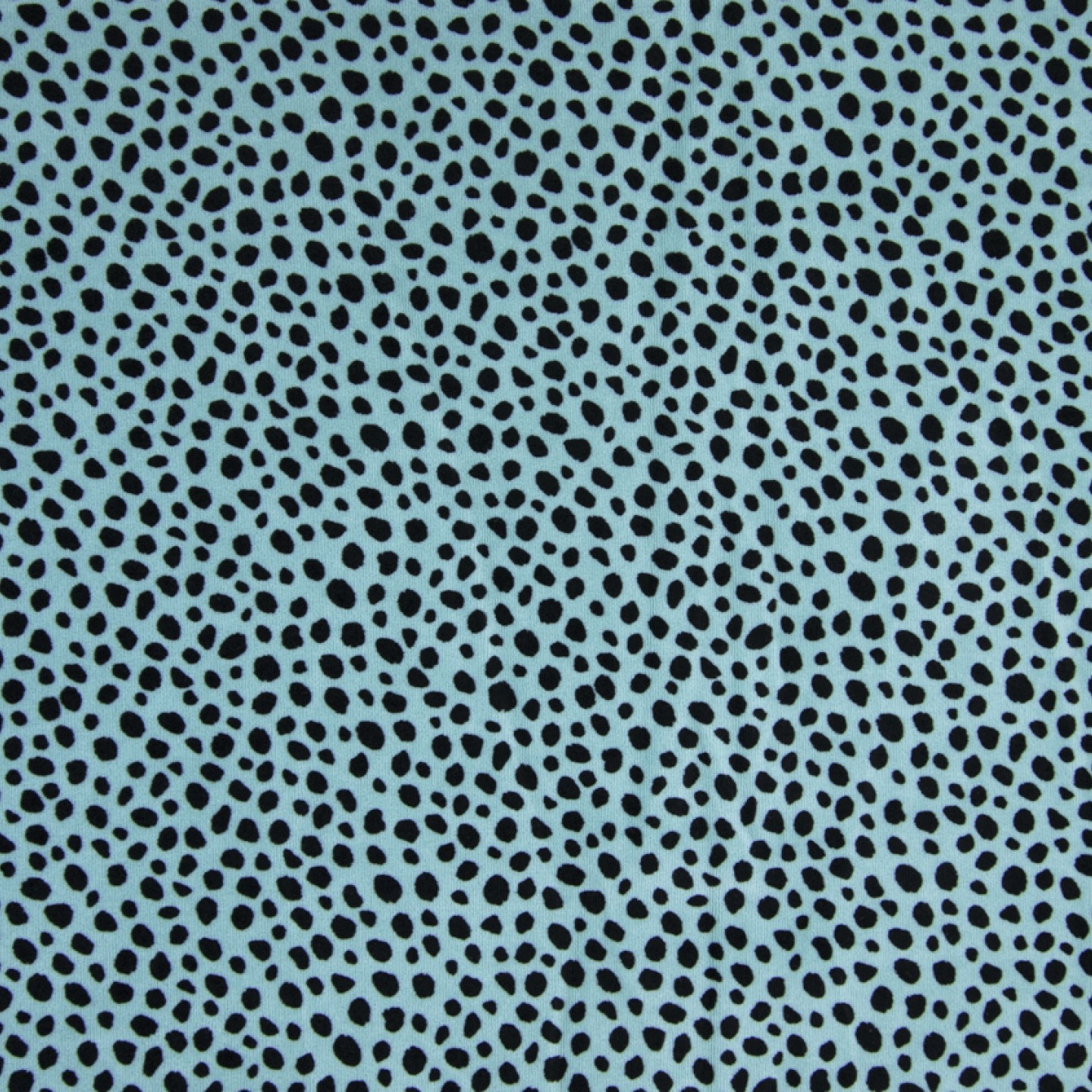 Nicki dusty mint mit schwarzen Dots 