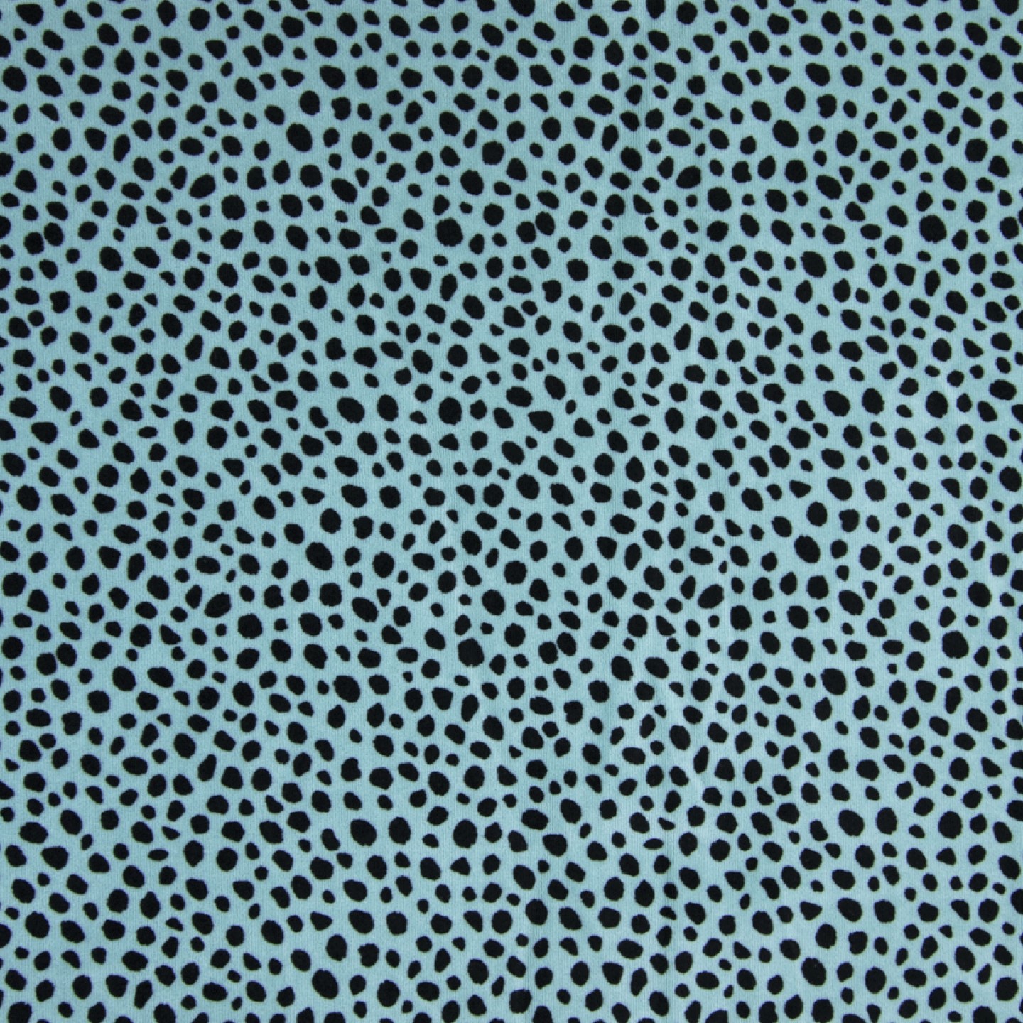 Nicki dusty mint mit schwarzen Dots 