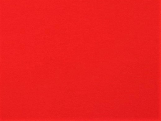 Organic Cotton Baumwolljersey uni rot (026)
