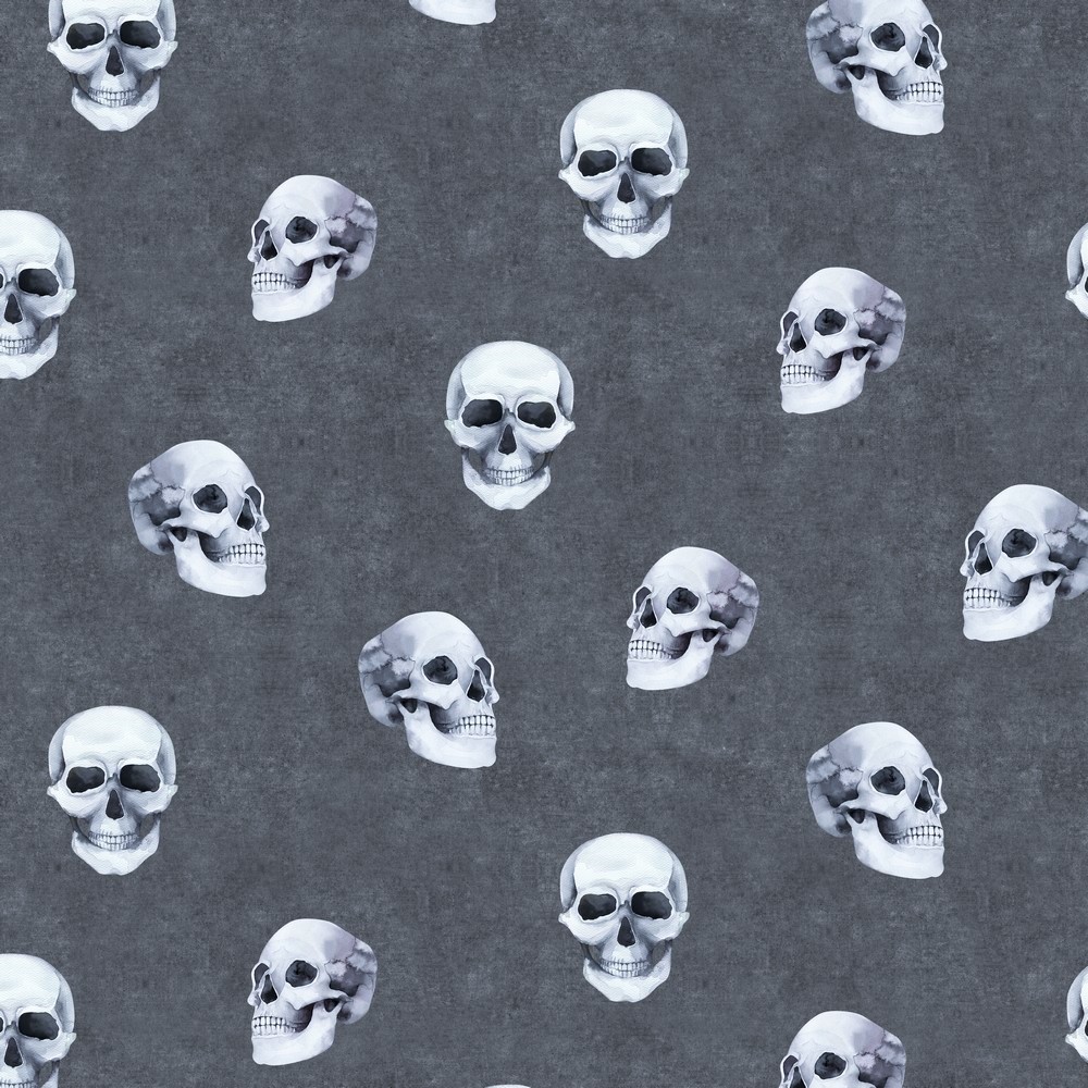 Digitaljersey Organic Cotton "Skulls" - dunkelgrau